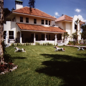 image-30